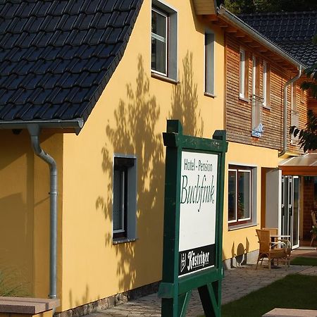 Pension Buchfink Uckeritz Exterior photo